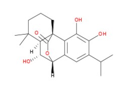 Sigma Aldrich Fine Chemicals Biosciences Isorosmanol | 93780-80-4 | MFCD22586507