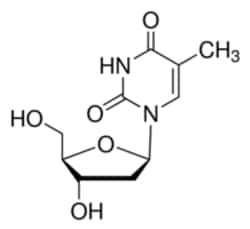 Sigma Aldrich Fine Chemicals Biosciences Thymidine powder, BioReagent, suitable for cell culture | 50-89-5 | MFCD00006537 | 5g