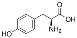 Sigma Aldrich Fine Chemicals Biosciences L-Tyrosine | 60-18-4 | MFCD00002606