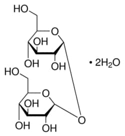 Sigma Aldrich Fine Chemicals Biosciences D-(+)-Trehalose dihydrate | 6138-23-4