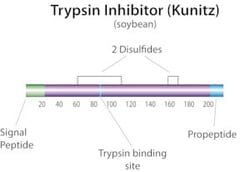 Sigma Aldrich Fine Chemicals Biosciences Trypsin inhibitor from Glycine