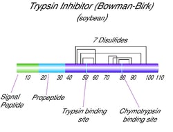 Sigma Aldrich Fine Chemicals Biosciences Trypsin-chymotrypsin inhibitor