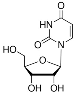 Sigma Aldrich Fine Chemicals Biosciences&nbsp;Uridine | 58-96-8 | MFCD00006526 | 5g