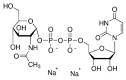Sigma Aldrich Fine Chemicals Biosciences Uridine 5'-diphospho-N-acetylglucosamine