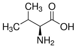 Sigma Aldrich Fine Chemicals Biosciences L-Valine | 72-18-4 | MFCD00064220