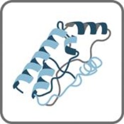 Haematologic Technologies Inc Bovine Lactadherin, 50 ug, Quantity: Each