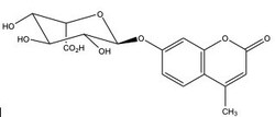 Santa Cruz Biotechnology&nbsp;4-Methylumbelliferyl alpha-L-iduronide (free acid) | 66966-09-4 | MFCD00135894 | 2 mg