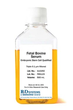 R Fetal Bovine Serum - Embryonic Stem Cell Qualified, Quantity: Each of