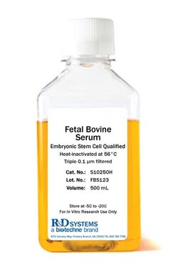 R Fetal Bovine Serum - Embryonic Stem Cell Qualified, Heat Inactivated,