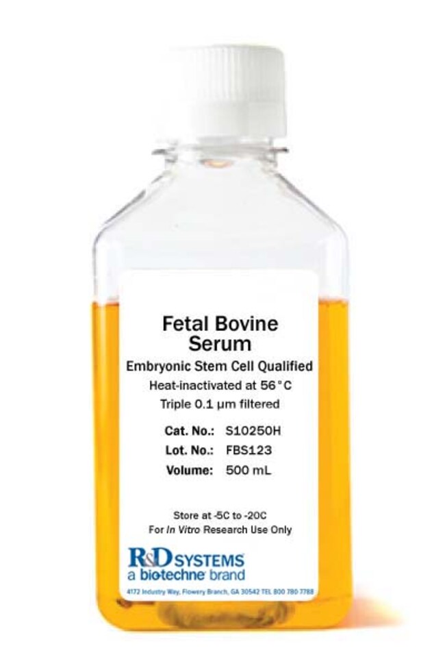 R Fetal Bovine Serum Embryonic Stem Cell Qualified, Heat Inactivated