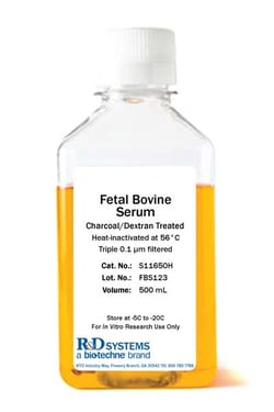 R Fetal Bovine Serum - Charcoal/Dextran Treated, Heat Inactivated, 100mL,