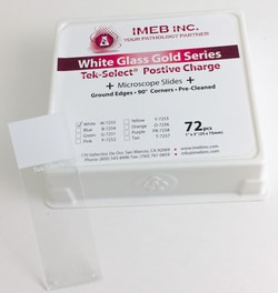 IMEB, Inc Tek-Select Gold Series Microscope Slides, Clear Glass, Positive