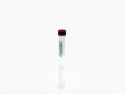 Cygnus Technologies BSA Antigen Concentrate, 1 mL