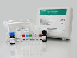 Cygnus Technologies CHO HCP ELISA Kit, 3rd Generation, More Sensitive than