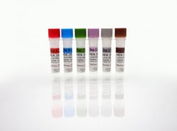 Cygnus Technologies HEK 293 HCP Standards (A-F) | 1mL