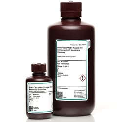 Surmodics Inc BCIP/NBT Purple One Component AP Membrane Substrate, 1L,