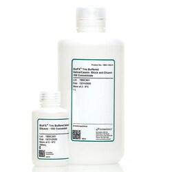 Surmodics Inc Tris Buffered Saline/Casein Block & Diluent -10X, 1L, Quantity: