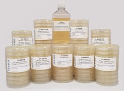 MOLTOX Molecular Toxicology Inc LB Agar (Miller) w/ 100 mg/L Carbenicillin,