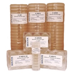 MOLTOX Molecular Toxicology Inc Minimal Glucose Agar. 24 Well Plate. 1