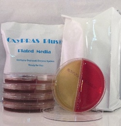 Oxyrase&nbsp;Bbe/Kvl Bi-Plate 10/Pk