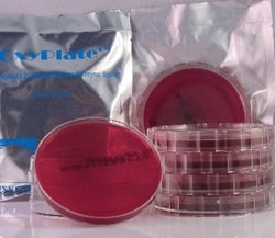 Oxyrase&nbsp;Schaedler Blood Agar Oxyplate 10/Pk
