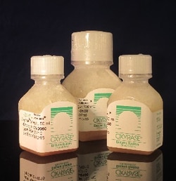 Oxyrase For Agar 100Ml Bottle 1/Pk