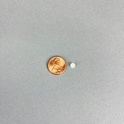 V&P Scientific Inc STIR ELEMENT, DISC, NdFeB Magnet, 42MGO, PVDF Encapsulated, Used in Microplates, Syringes, Tubes/Vials, 10/pack