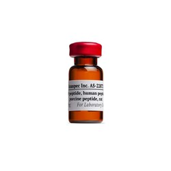 AnaSpec VIP, human, porcine, rat | 0.5mg, Quantity: Each of 1