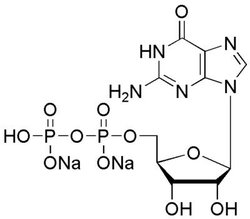 Chem-Impex International, Inc. Guanosine-5'-diphosphate disodium salt |