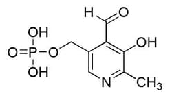 Chem-Impex International, Inc.&nbsp;Methyl indole-5-carboxylate | MFCD00153023 | 5G
