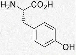 Chem-Impex International, Inc. Fmoc-L-proline | 71989-31-6 | MFCD00037122