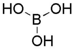 Chem-Impex International, Inc. Anisole | 100-66-3 | MFCD00008354 | 250ML
