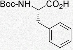 Avanti Polar Lipids 1,2-dioleoyl-3-trimethylammonium-propane (chloride
