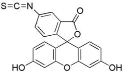Chem-Impex International, Inc.&nbsp;Cesium fluoride | MFCD00010960 | 100G