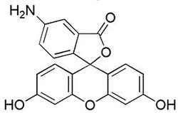 Bachem Pancreatic Polypeptide (human) Trifluoroacetate, Quantity: Each