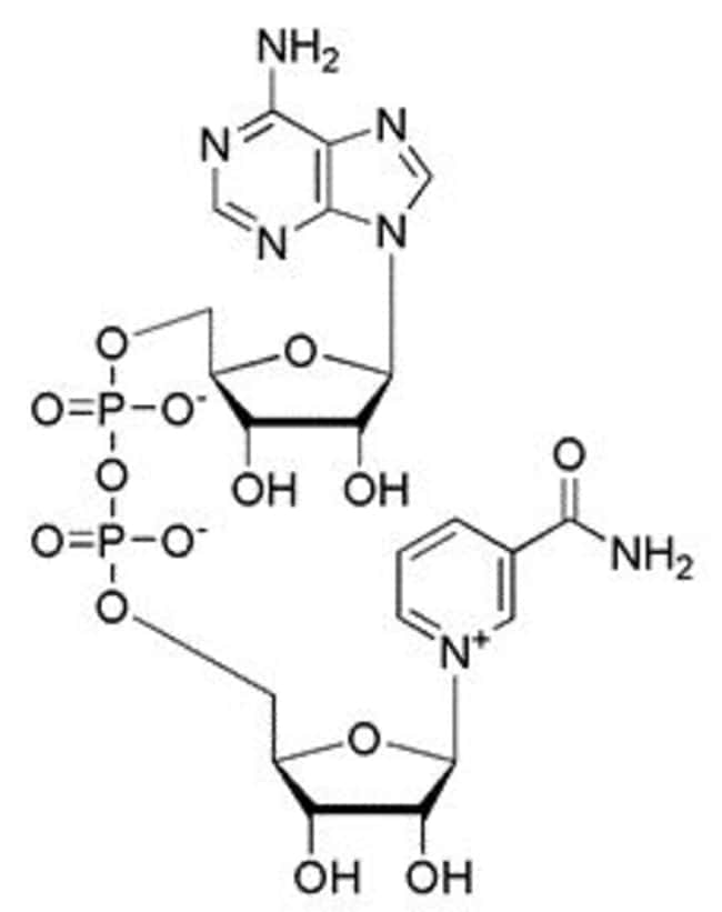 MilliporeSigma Supelco Cefixime trihydrate, 125110147, MFCD03788802