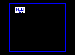 Chem-Impex International, Inc. a-Naphthylamine | 134-32-7 | MFCD00004016
