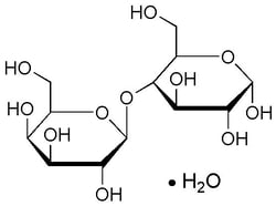 Polysciences, Inc. Polyethylenimine, Branched, MW 1,200 (bPEI 1200), 9002-98-6,