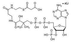 Sigma Aldrich Fine Chemicals Biosciences Sulfanilamide, 63-74-1, MFCD00007939,