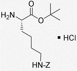 Chem-Impex International, Inc. Fmoc-L-lysine | 105047-45-8 | MFCD00038539