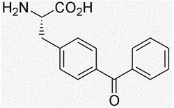 Chem-Impex International, Inc. Fmoc-S-trityl-L-homocysteine | 167015-23-8