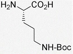 Chem-Impex International, Inc. Fmoc-L-norleucine | 77284-32-3 | MFCD00037537 | 5G