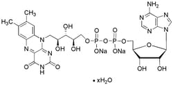 Chem-Impex International, Inc.&nbsp;Flavin adenine dinucleotide disodium salt hydrate | 146-14-5 | MFCD08277021 | 25G