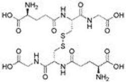 Chem-Impex International, Inc. Glutathione oxidized | 27025-41-8 | MFCD00063106