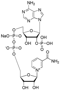 Chem-Impex International, Inc.&nbsp;b-Nicotinamide adenine dinucleotide phosphate sodium salt | MFCD00036973 | 25G