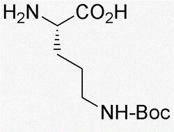 Chem-Impex International, Inc. Nd-Boc-L-ornithine | 13650-49-2 | MFCD00037219