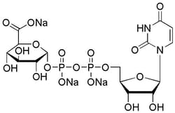 Chem-Impex International, Inc. Uridine-5'-diphosphoglucuronic acid trisodium
