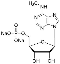 Chem-Impex International, Inc. N6-Methyladenosine-5'-monophosphate sodium
