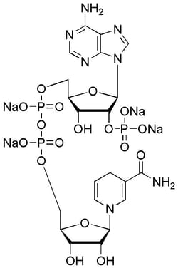 Chem-Impex International, Inc. b-Nicotinamide adenine dinucleotide phosphate
