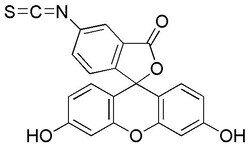 Chem-Impex International, Inc. Fluorescein isothiocyanate isomer I | 3326-32-7